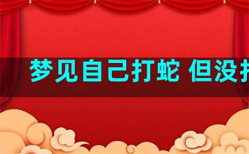 梦见自己打蛇 但没打死